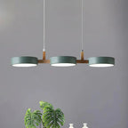 Pendant lamp - Nordic modern metal design